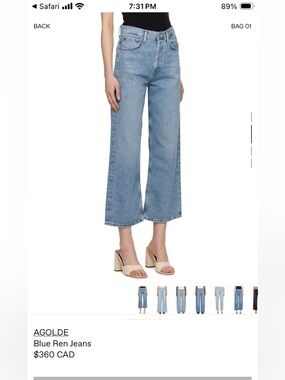 AGOLDE REN JEANS in DISCLOSURE